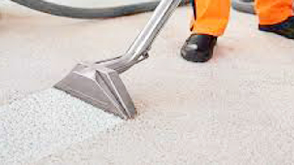 How Does Carpet Steam Cleaning Purify Your Surroundings