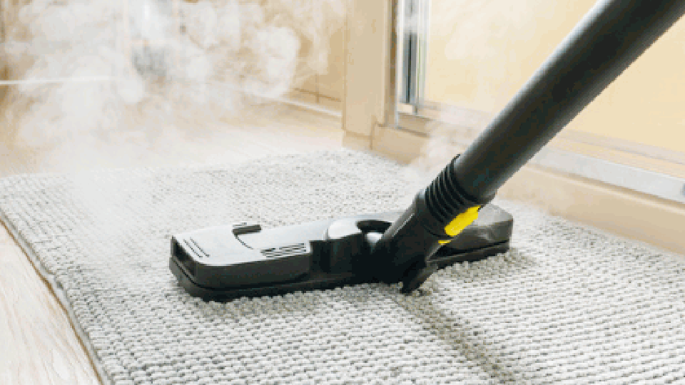 How Does a Steam Cleaner Work