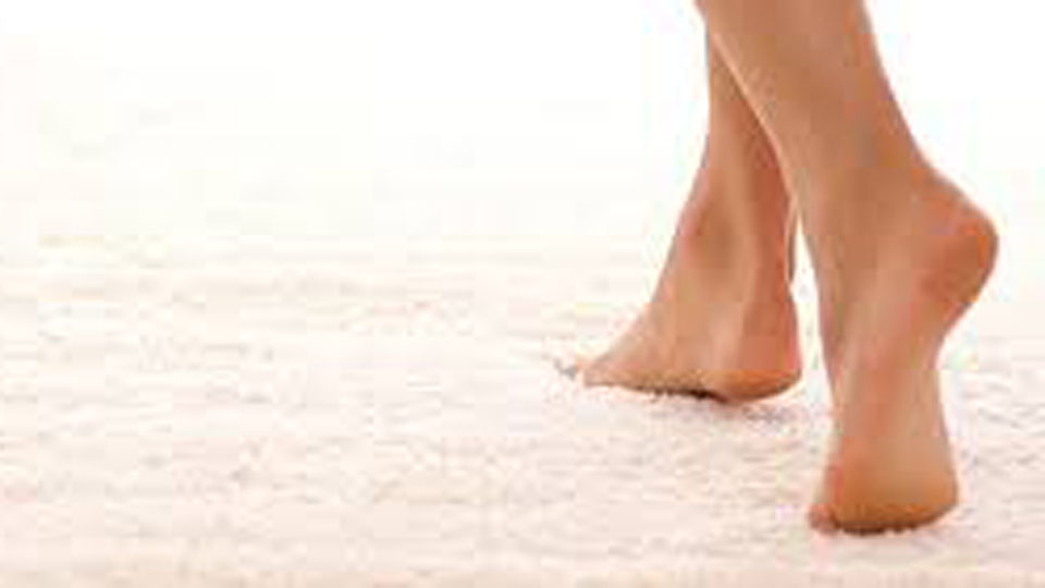 How Long Does a Carpet Take to Dry After Cleaning