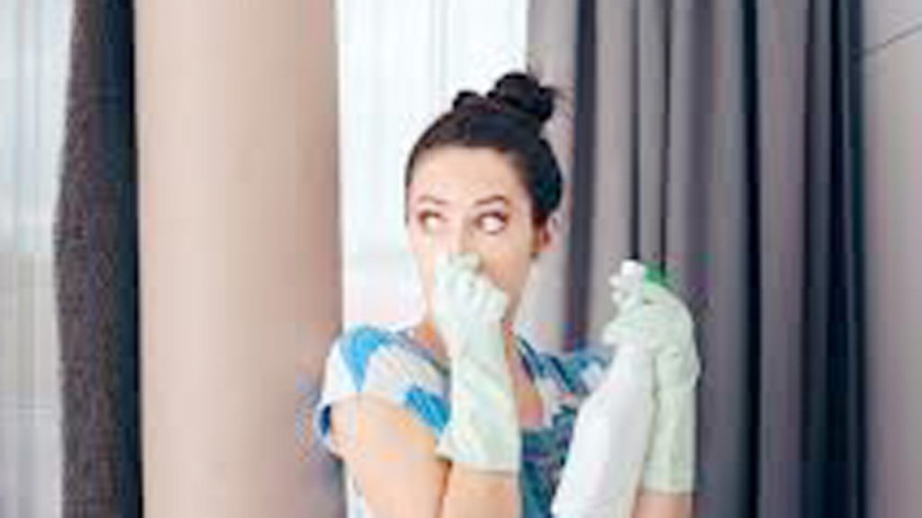 How to Get Rid of Damp Smell After Carpet Cleaning