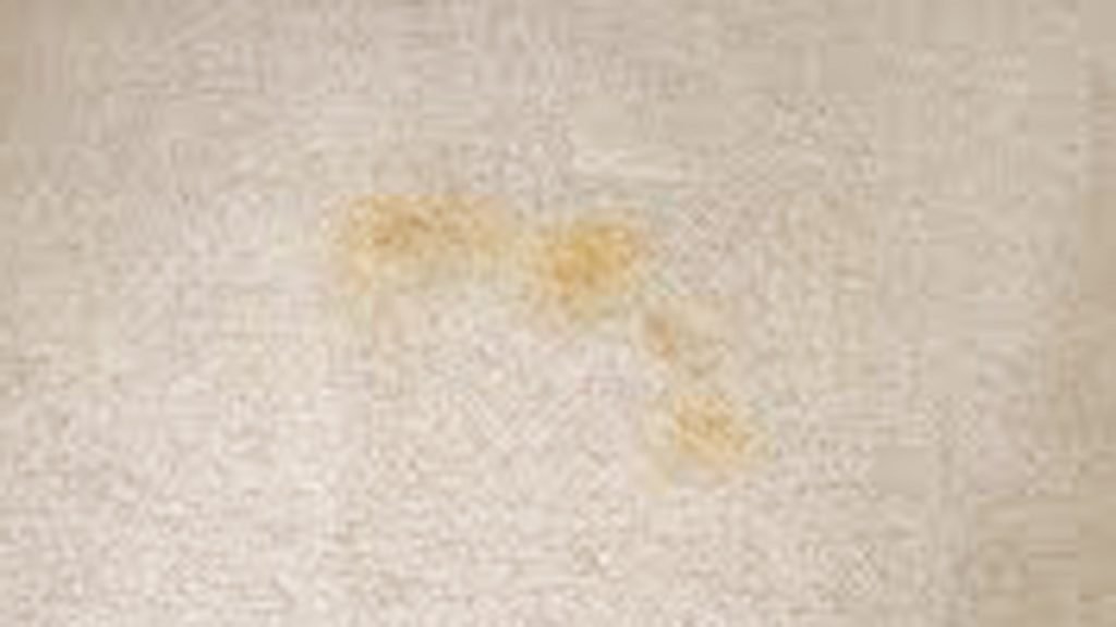 How to Remove Pollen Stains from Carpet