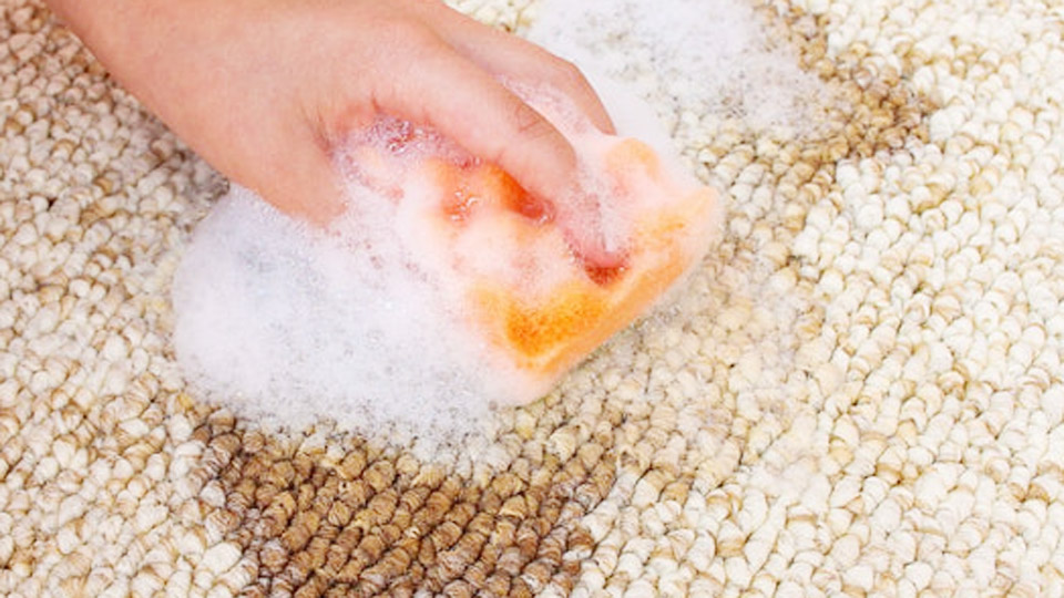 How to Remove Turmeric Stain from Carpet