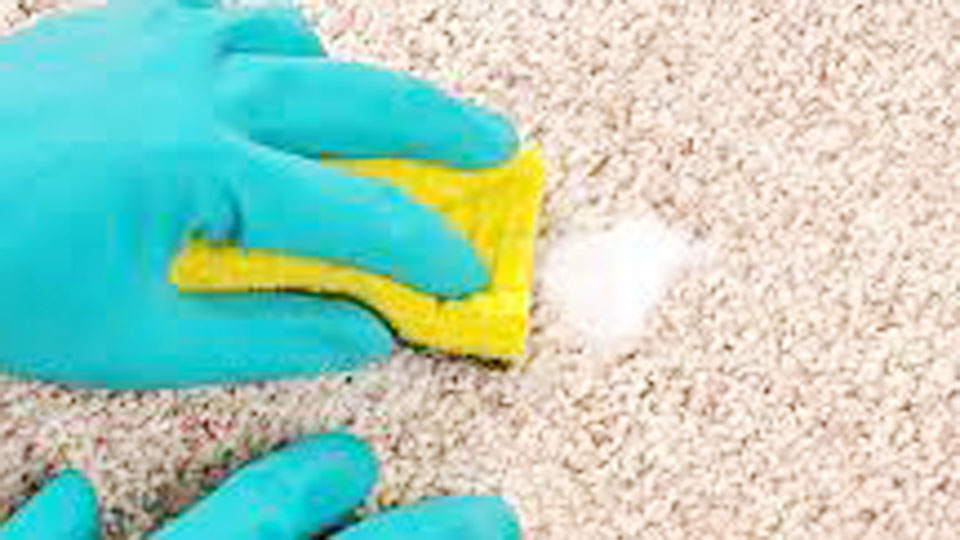 Removing Stains from Carpets and Rugs