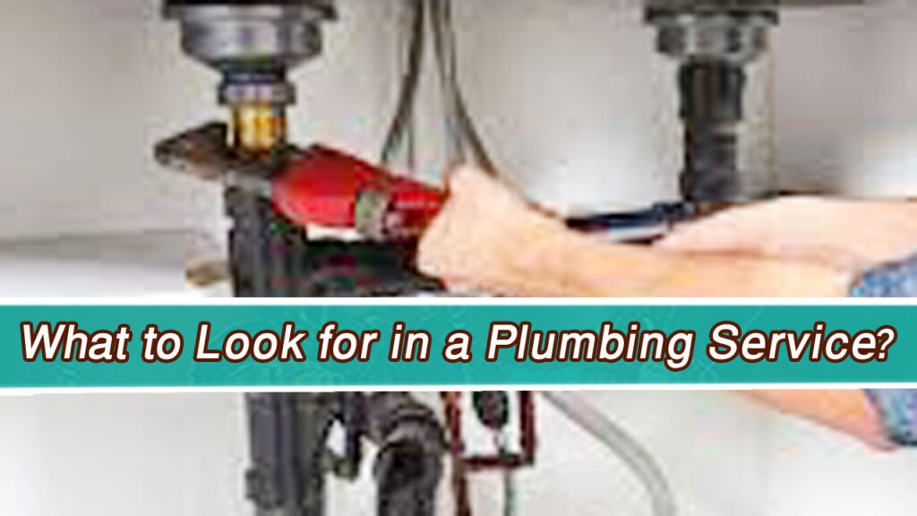 What-to-Look-for-in-a-Plumbing-Service