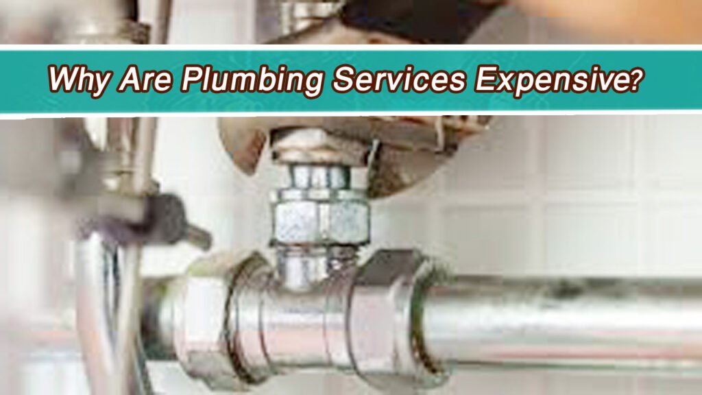 Why Are Plumbing Services Expensive