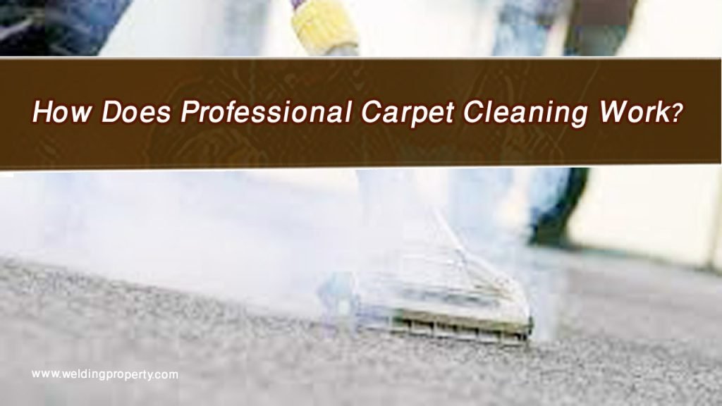 How Does Professional Carpet Cleaning Work