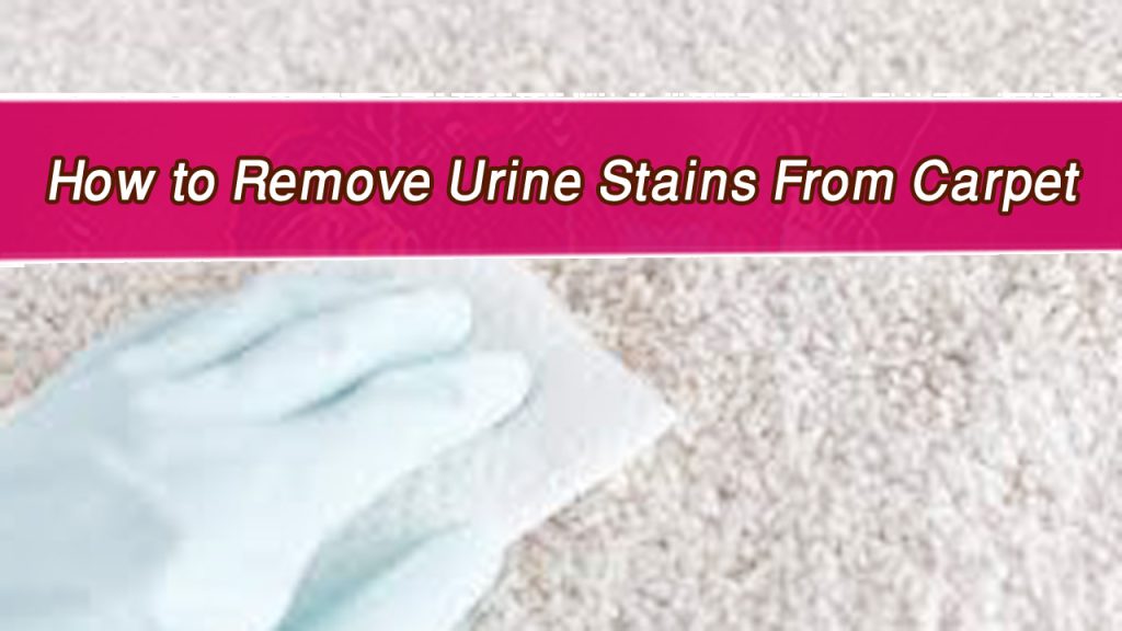 How to Remove Urine Stains From Carpet